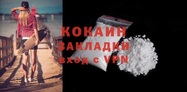 прущие грибы Аркадак