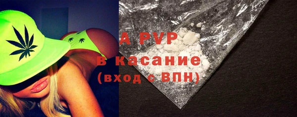 кокс Арсеньев