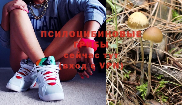 spice Балахна