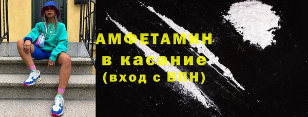 прущие грибы Аркадак
